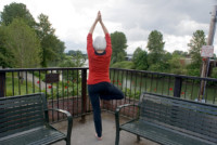 Snohomish River Overlook